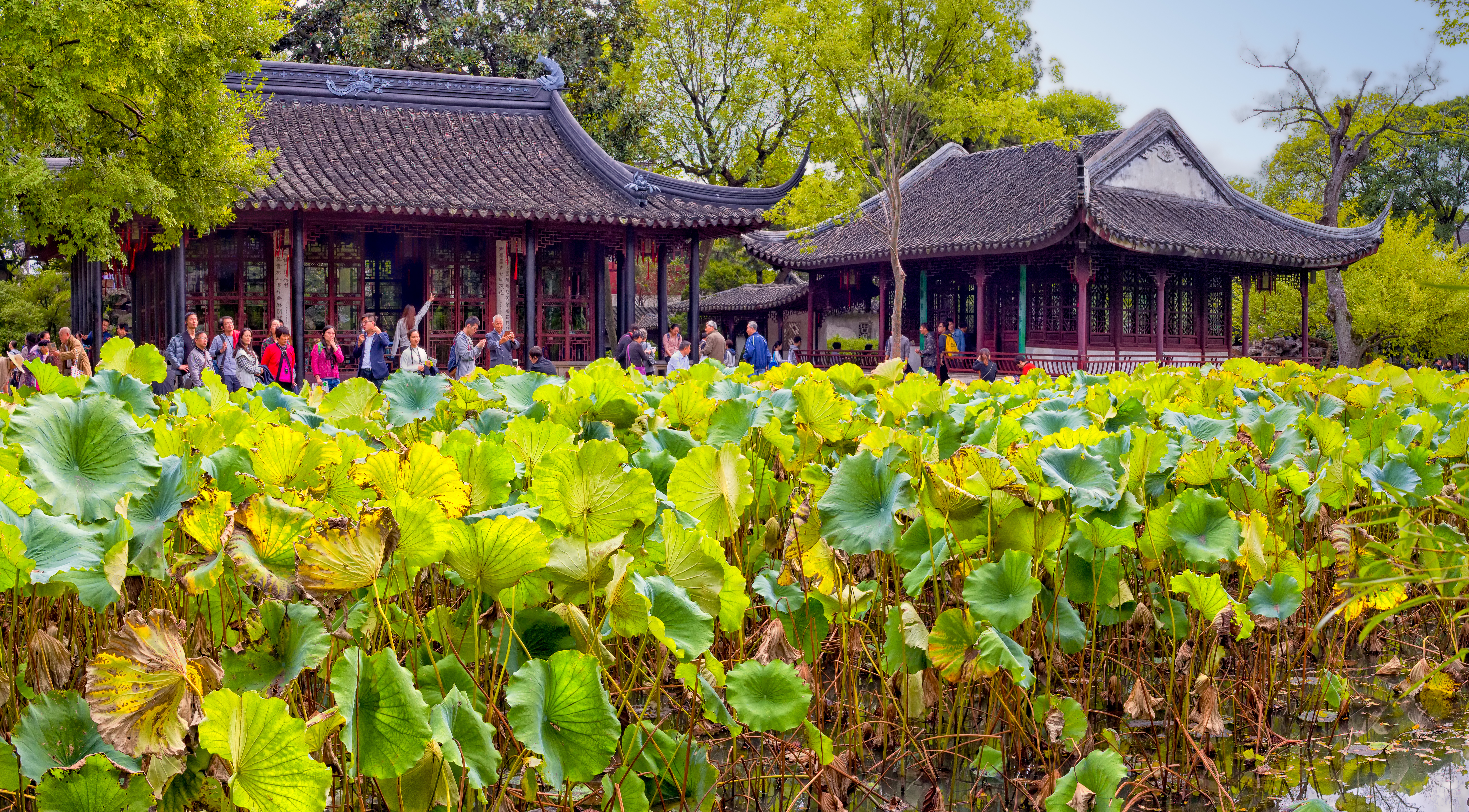 Day Trip: Suzhou's Classical Gardens